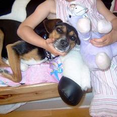 Blanding af racer fido