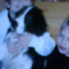 Cocker spaniel Tarzan gevet tilbage :'(