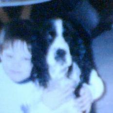 Cocker spaniel Tarzan gevet tilbage :'(