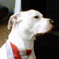 Blanding af racer Liam oconner