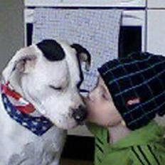 Blanding af racer Liam oconner