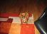 Cavalier king charles spaniel Donna - donna