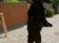 Flat coated retriever † Aladin - RIP † - Menneskehunden 