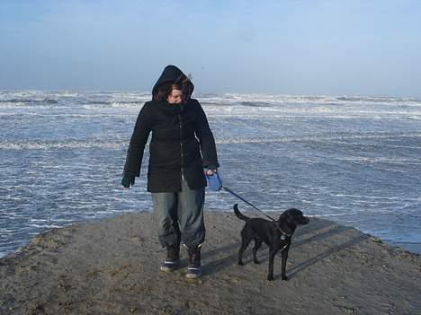 Blanding af racer Pelle - Ved stranden en meget kold dag  billede 16