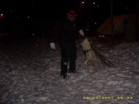 Blanding af racer nikita billede 10