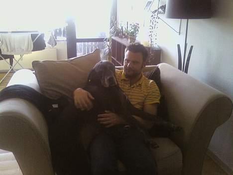 Blanding af racer Freya billede 12