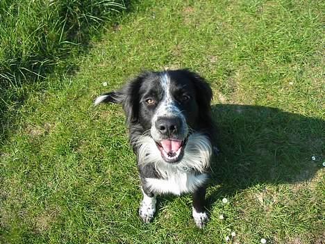 Blanding af racer thor - er jeg ikke bar dejlig billede 1