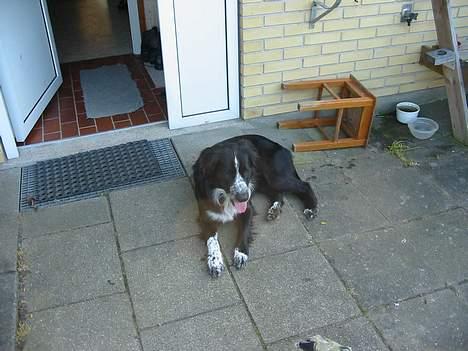 Blanding af racer thor billede 2