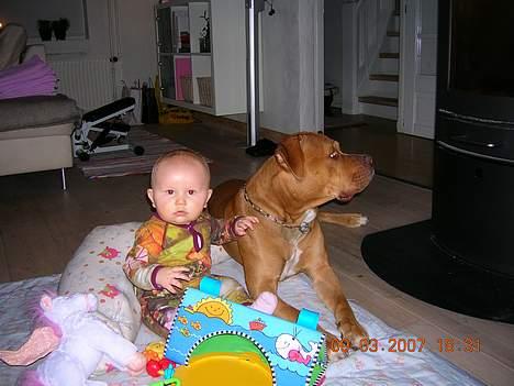 Blanding af racer Boey DØD billede 15