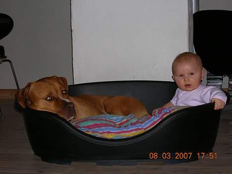 Blanding af racer Boey DØD billede 17