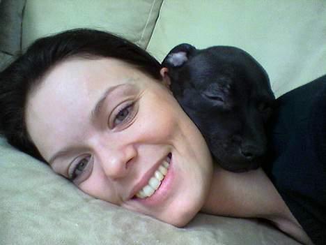 Staffordshire bull terrier Liva - Min nye mor og mig -se hvor lille jeg er! billede 13