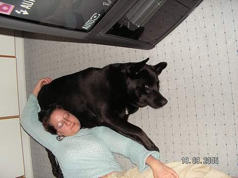 Blanding af racer Møffe - Vi slaper lige lidt af og hygger billede 4