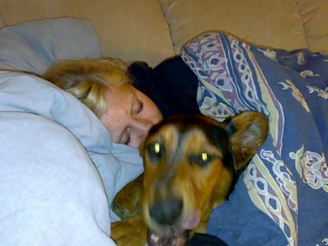 Blanding af racer Kemba billede 4