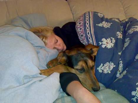 Blanding af racer Kemba - Hygger med mor billede 5