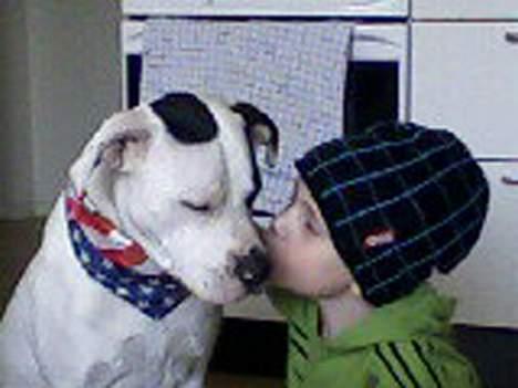 Blanding af racer Liam oconner billede 3