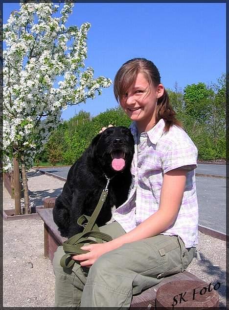 Blanding af racer Chico - Chico og mig i legeparken... Dejligt vejr. billede 5