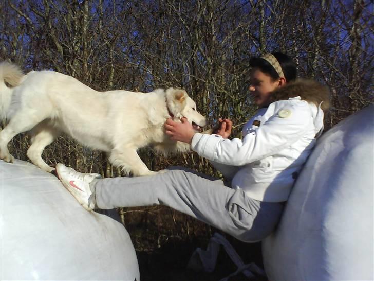 Blanding af racer soffie/ soffe - velkommen til lisa & super soffe´ s profil<333 håber i kan li´ den :´D billede 1