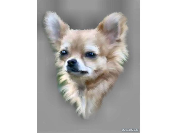 {{currentPhoto.altText}} billede {{currentPhoto.number}}