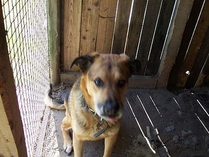 {{currentPhoto.altText}} billede {{currentPhoto.number}}