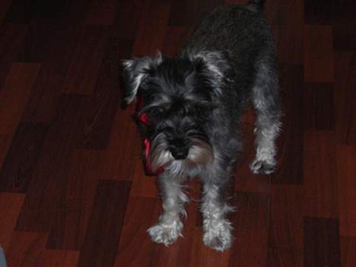 {{currentPhoto.altText}} billede {{currentPhoto.number}}