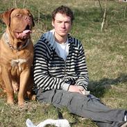 Dogue de bordeaux Louie