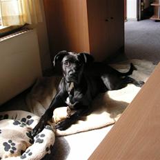 Blanding af racer xena