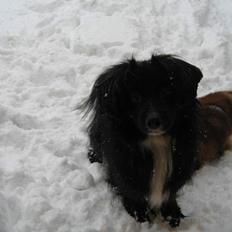 Blanding af racer Delle (¯`•¸·´¯)