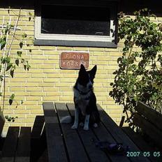 Blanding af racer Sofus