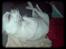 Chihuahua Bailey