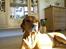 Rhodesian ridgeback R.I.P Nala