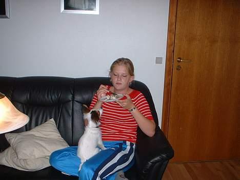 Blanding af racer Futte billede 1