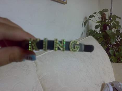 Yorkshire terrier Mr.King billede 6