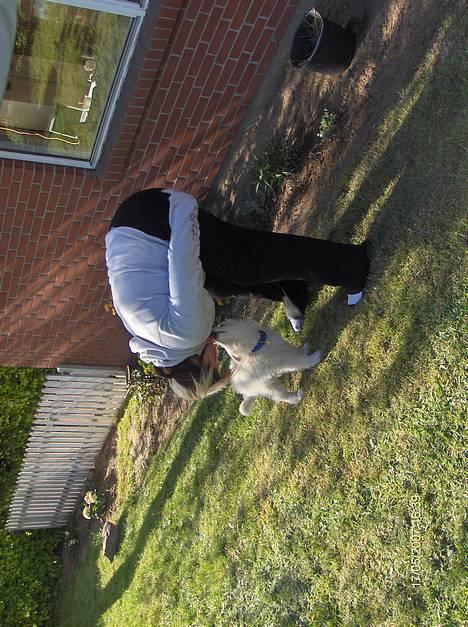 Blanding af racer Balder - en mys til mor billede 2