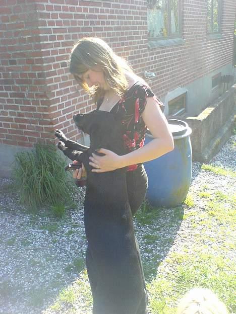 Blanding af racer Lady <3 - Mig og Lady hygger:) billede 15