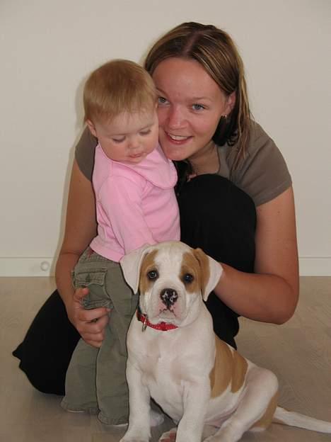 Amerikansk bulldog Dooley - Trine, Anne og Dooley billede 6