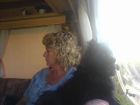 Kleinspitz Max billede 8