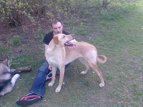 Blanding af racer Beauty billede 8