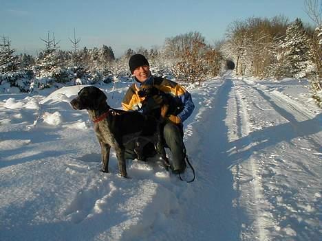 Ruhåret hønsehund Cisse - Sol i sneen med ejer og veninde Mille billede 2