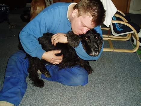 Cocker spaniel Tjego R.I.P - Her sige far sit sidste farvel til sin allerbedste ven gennem 10 super gode år... billede 15