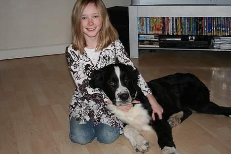 Blanding af racer <3HERCULES<3 - det e r herkules da han hva lillebitte billede 2