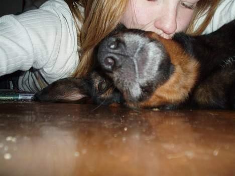 Blanding af racer Tulle(aflivet) - Møsser til Tulle(; billede 2