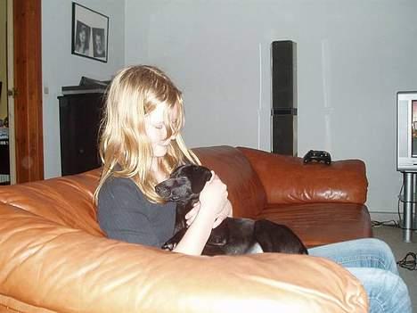 Blanding af racer Labrador/Münstlænder Nala - Nala den dag hun kom hjem(; billede 5