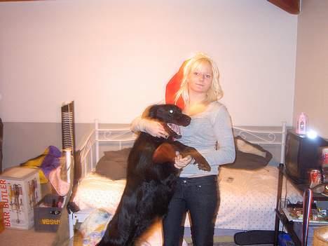 Blanding af racer Joyce (død:'() billede 8