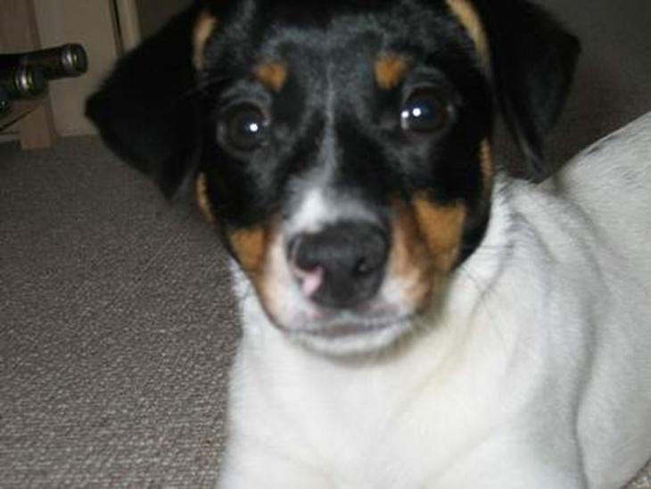 {{currentPhoto.altText}} billede {{currentPhoto.number}}