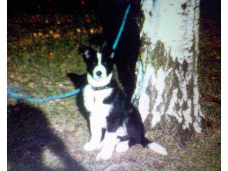 {{currentPhoto.altText}} billede {{currentPhoto.number}}