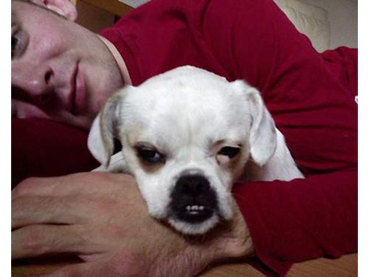 {{currentPhoto.altText}} billede {{currentPhoto.number}}