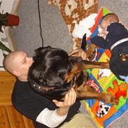 Rottweiler Kingzo