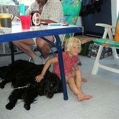 Blanding af racer thais