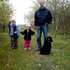 Cocker spaniel Bonnie (død 4 maj 2008)