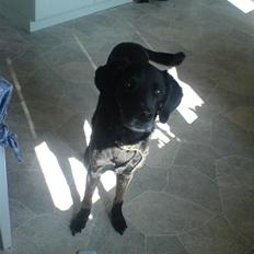 Blanding af racer Frans <3 RIP :(